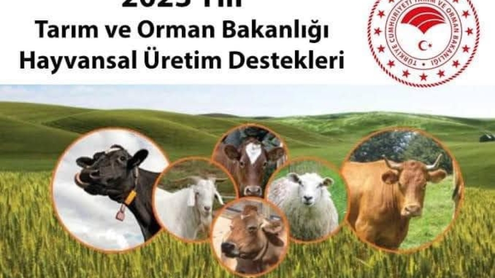 2023 yılı Buzağı Destekleme Başvuruları başladı