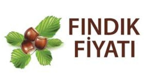 26.03.2024 günlük Fındık Fiyatı